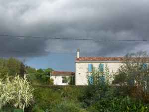 2008- (15).jpg